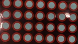 A água impermeabiliza o filme de PTFE e a rede do nylon ou do poliuretano para a câmera e o produto de Haircare